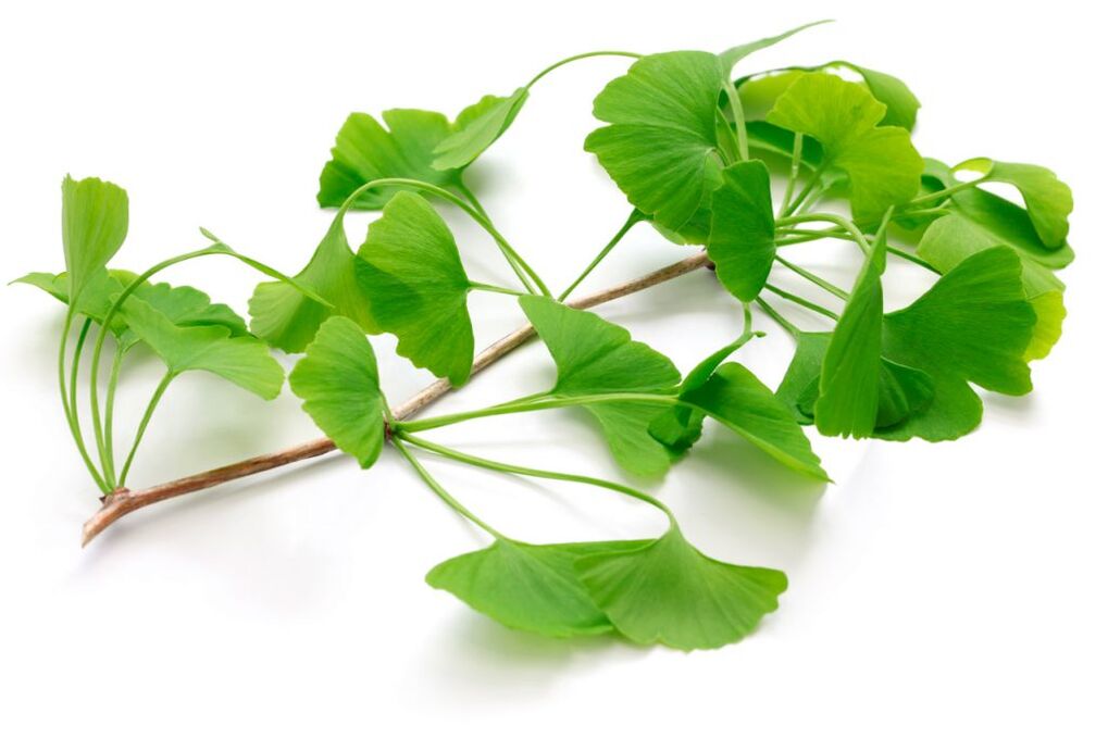 ginkgo biloba v kapslích Insuvit